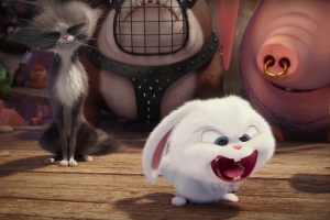secret-life-of-pets[1]